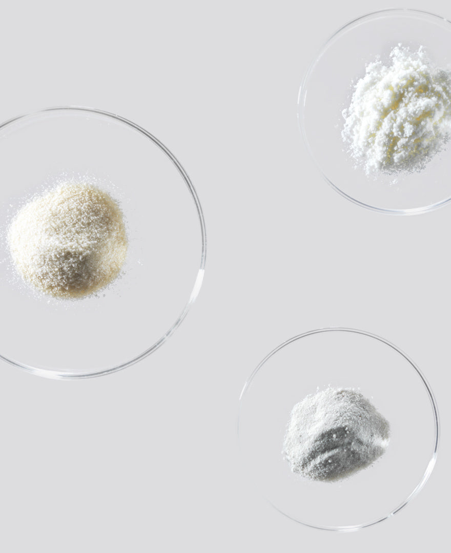 Collagen powders