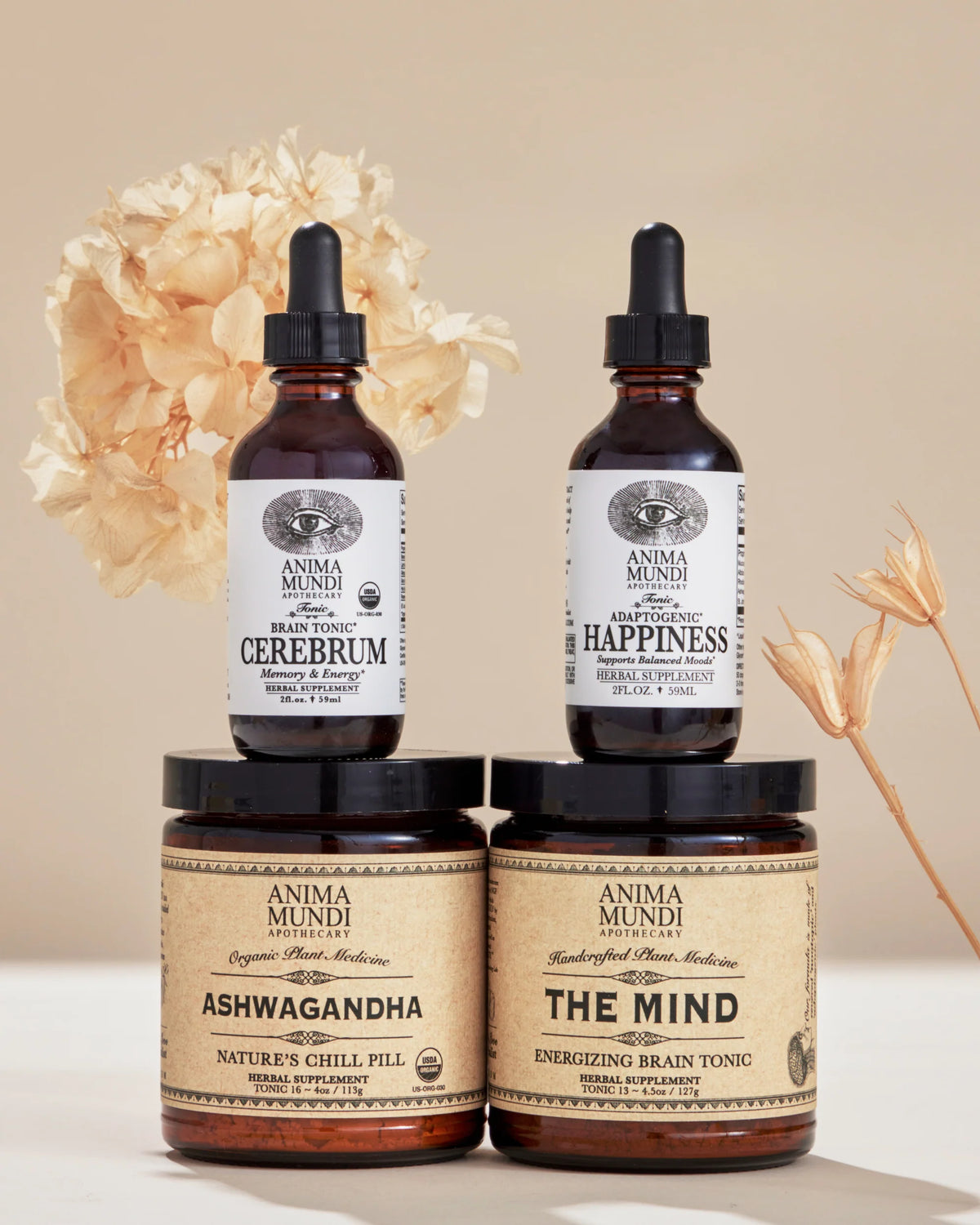 Brain Kit | Adaptogenic Nootropics