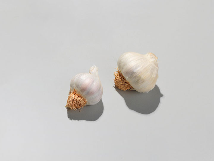 Garlic is good for gut health