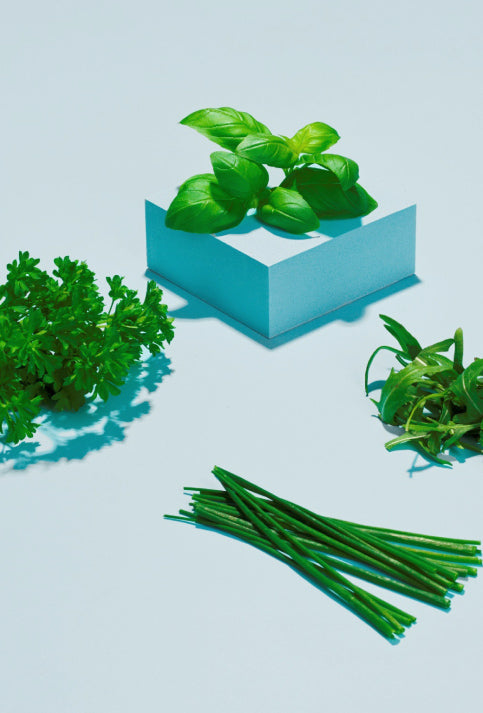 A selection of herbs