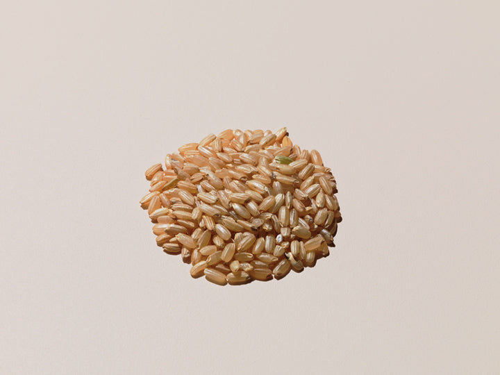 Brown rice contains vitamins and minerals