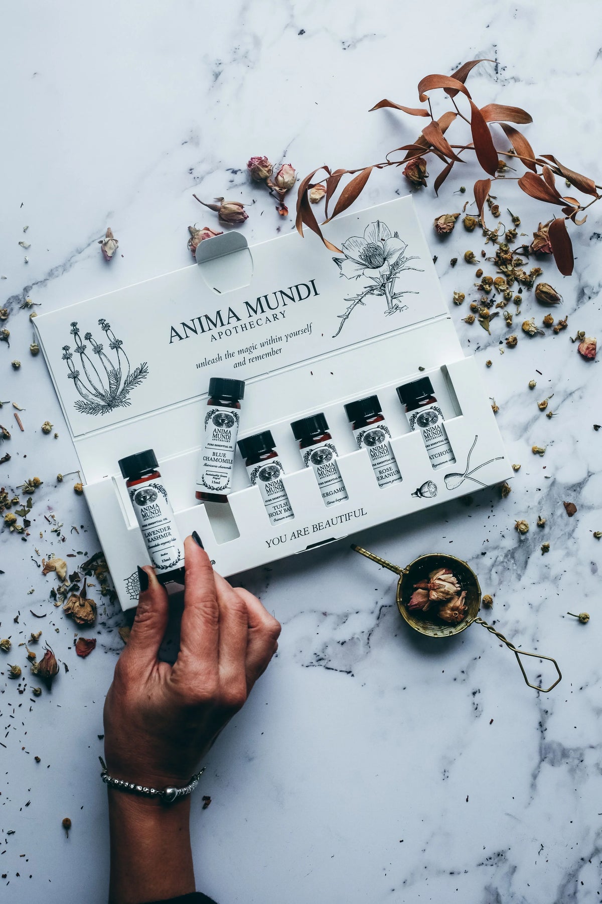 Relax + De-Stress Kit | 6 Essential Oils