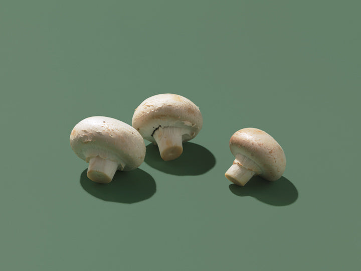 Mushrooms contain vitamins and minerals