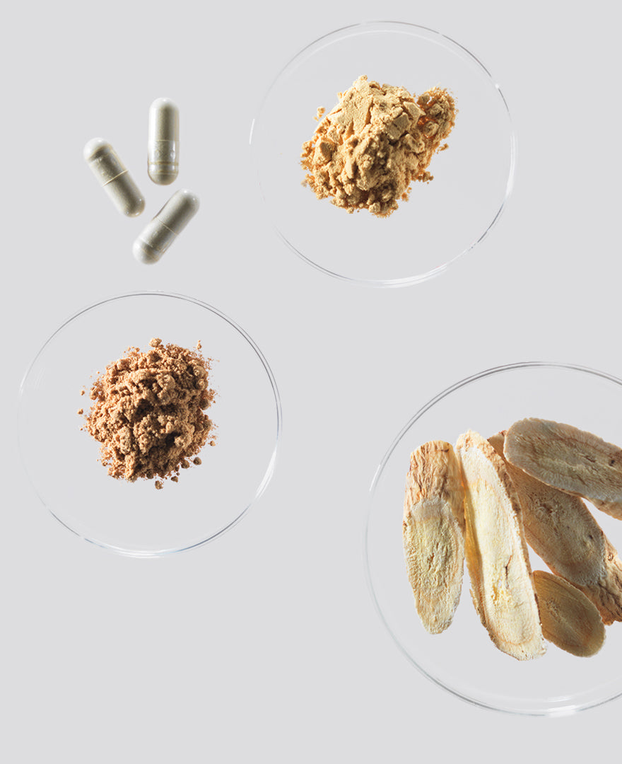 A selection of tonic herbs in powder, tablet and dried form.
