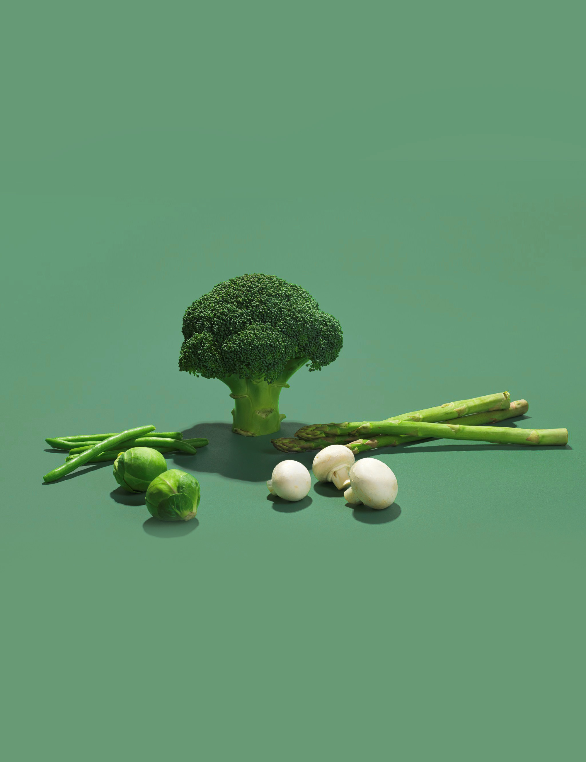 Food containing Vitamin B2