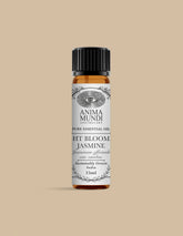Night Blooming Jasmine Essential Oil | Sustainably Cultivated