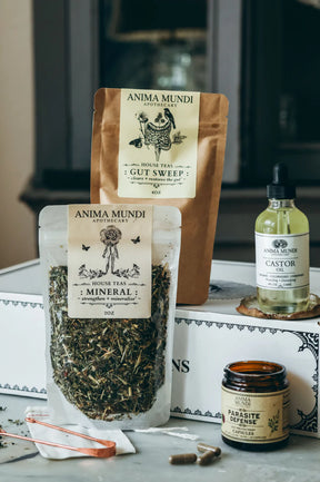 Parasite Defense Herbal Kit | Deep Cleanse*