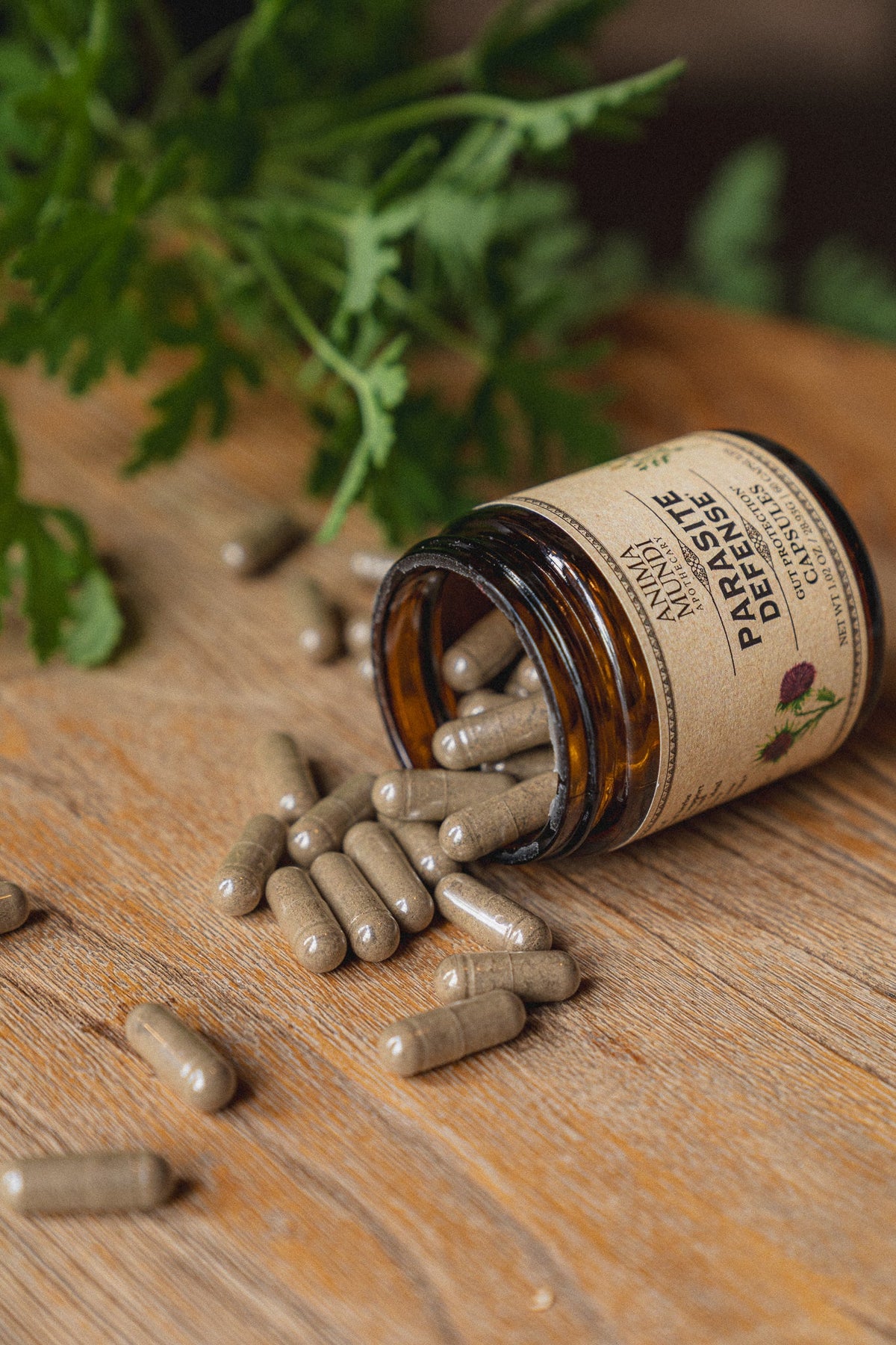 Parasite Defense | Gut Protection* Capsules