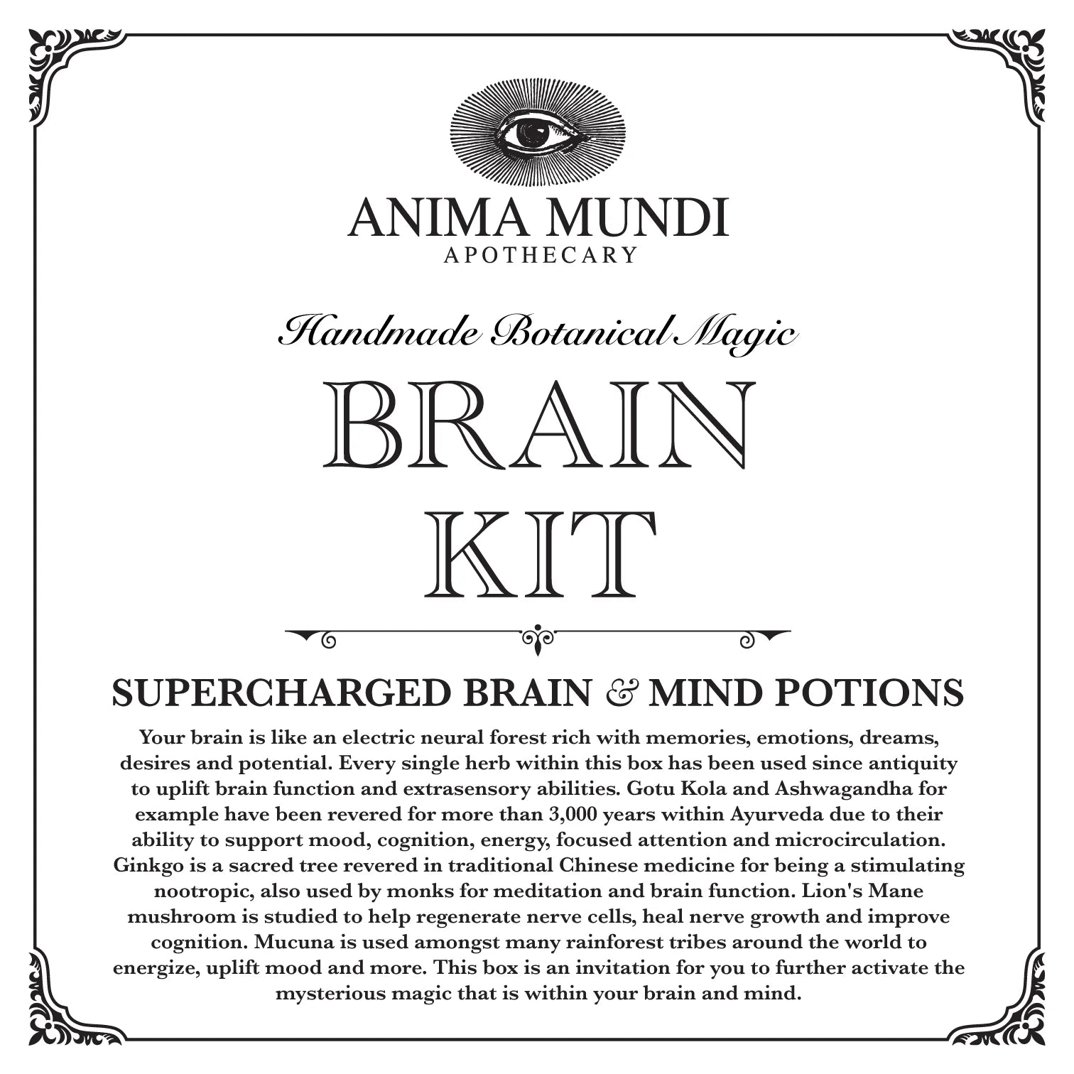 Brain Kit | Adaptogenic Nootropics