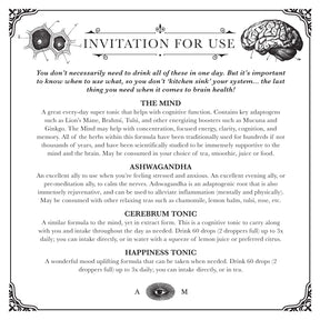 Brain Kit | Adaptogenic Nootropics