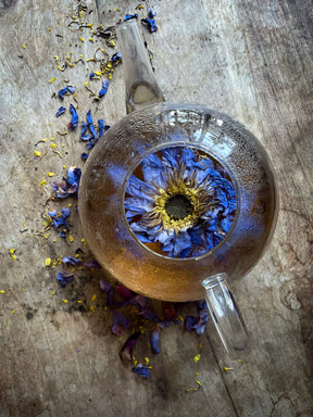 Blue Lotus | Whole Flowers