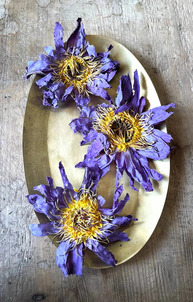 Blue Lotus | Whole Flowers