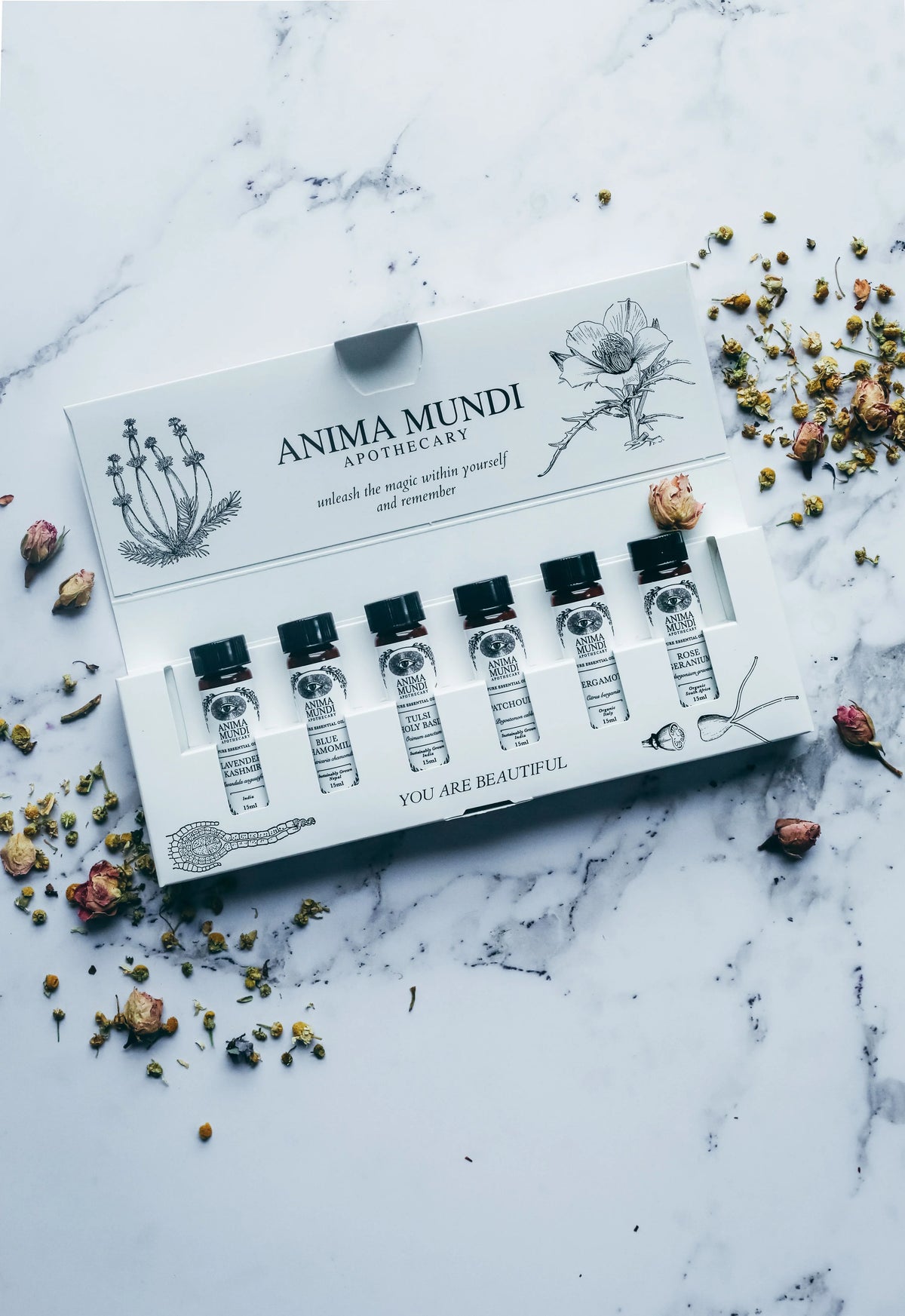 Relax + De-Stress Kit | 6 Essential Oils