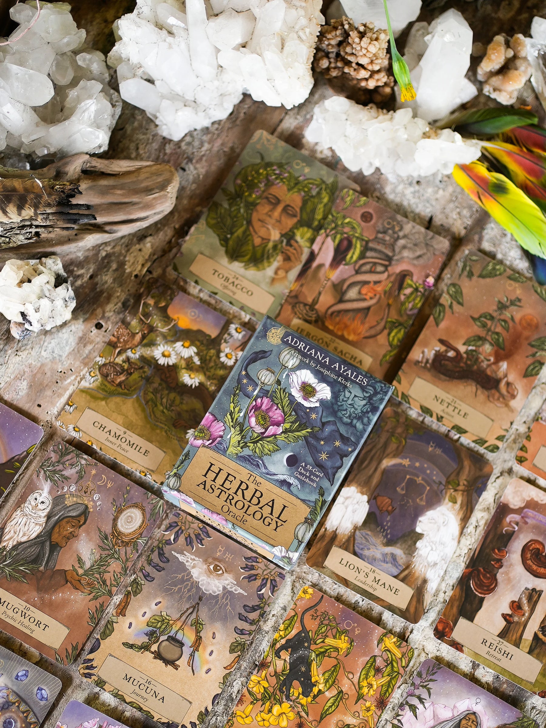 HERBAL ASTROLOGY Oracle