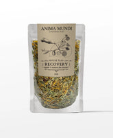 Recovery | Repair + Restore*, House Tea
