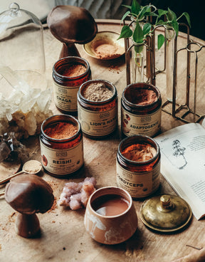 Reishi | Spirit Super-Tonic*