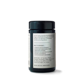 Chaga